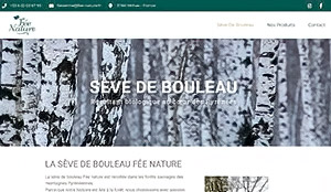 Sève de bouleau