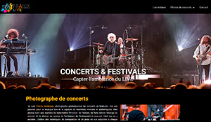 Photographe de concerts